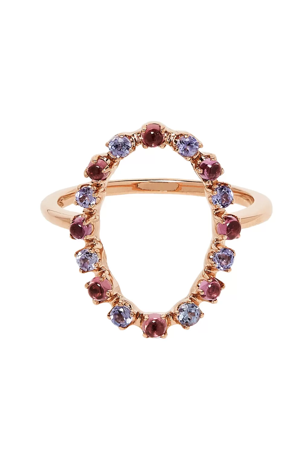 Woman Marlo Laz Fine Jewelry | Full Circle Ring In 14K Rose Gold With Purple Tanzanites & Rhodolite
