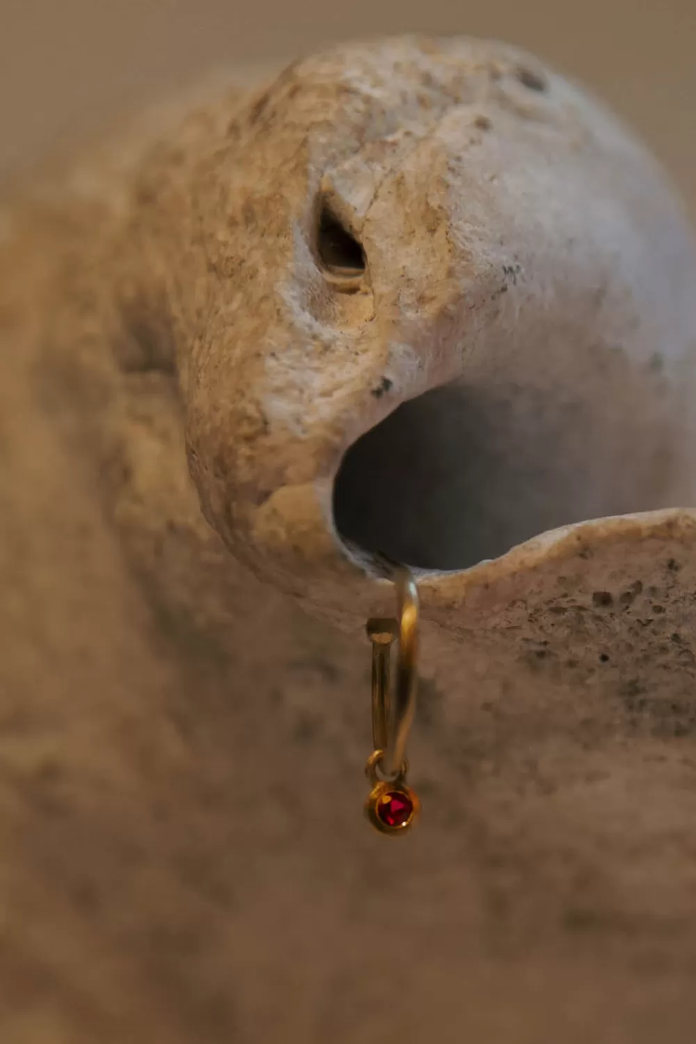 Woman Sandy Leong Fine Jewelry | Petite Halo Huggies With Ruby Charms